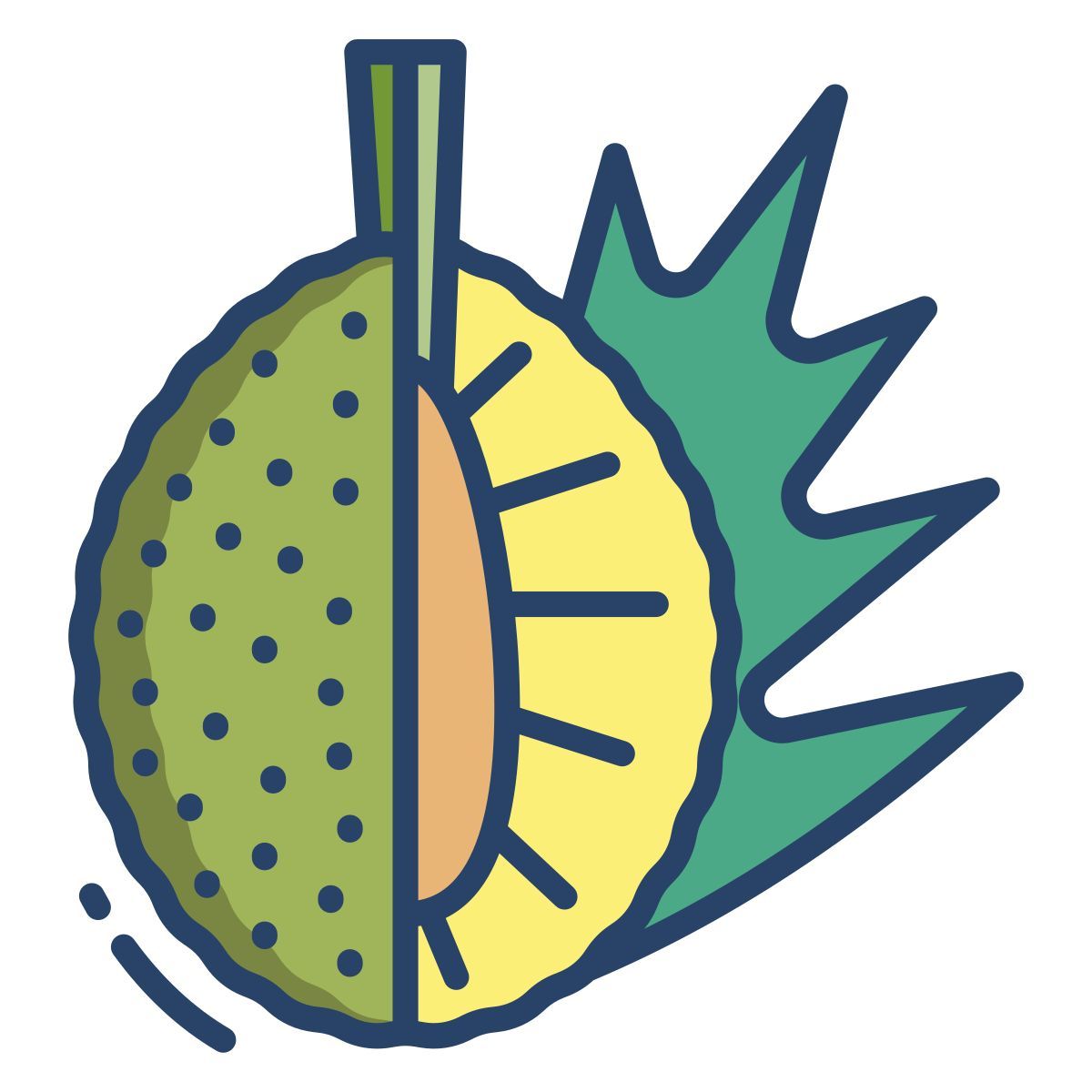 breadfruit icon
