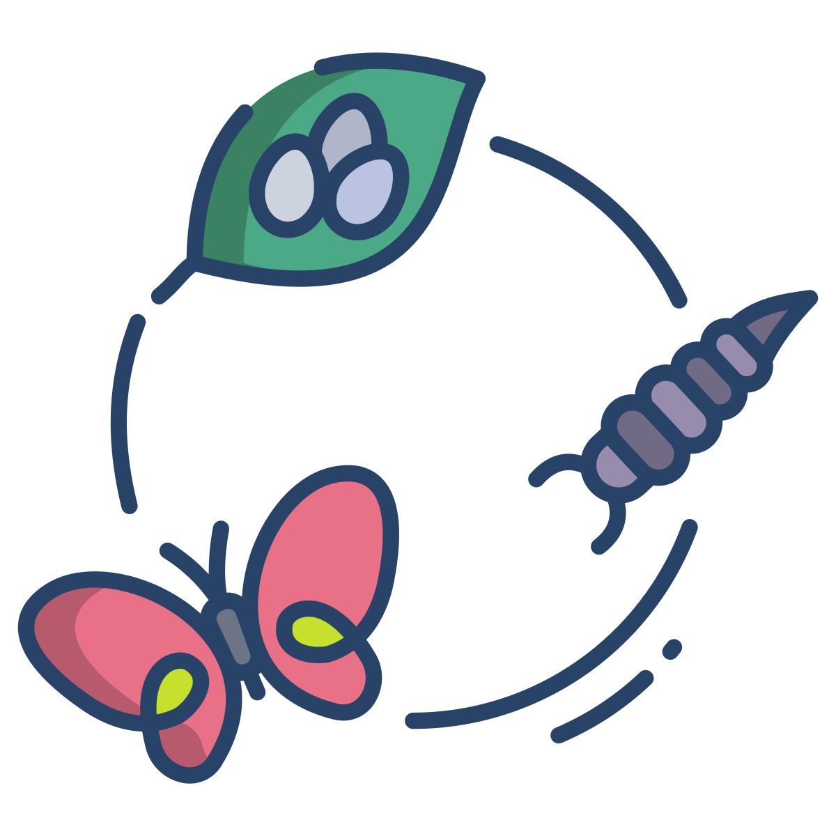 butterfly icon
