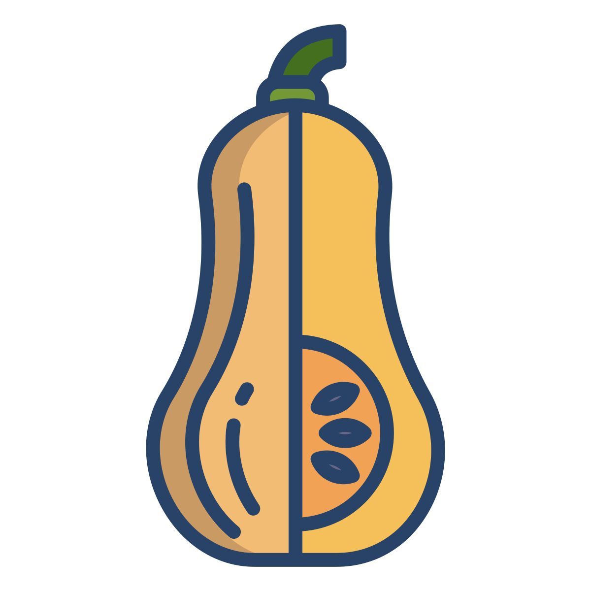 butternut squash icon