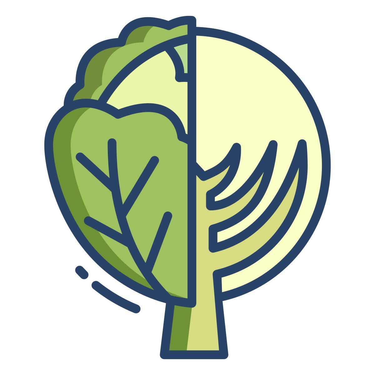 cabbage icon