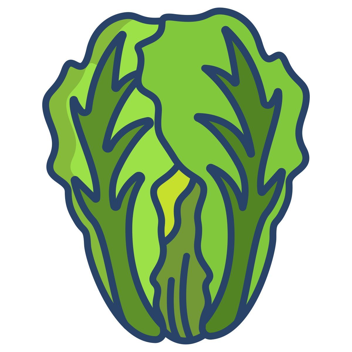 cabbage icon