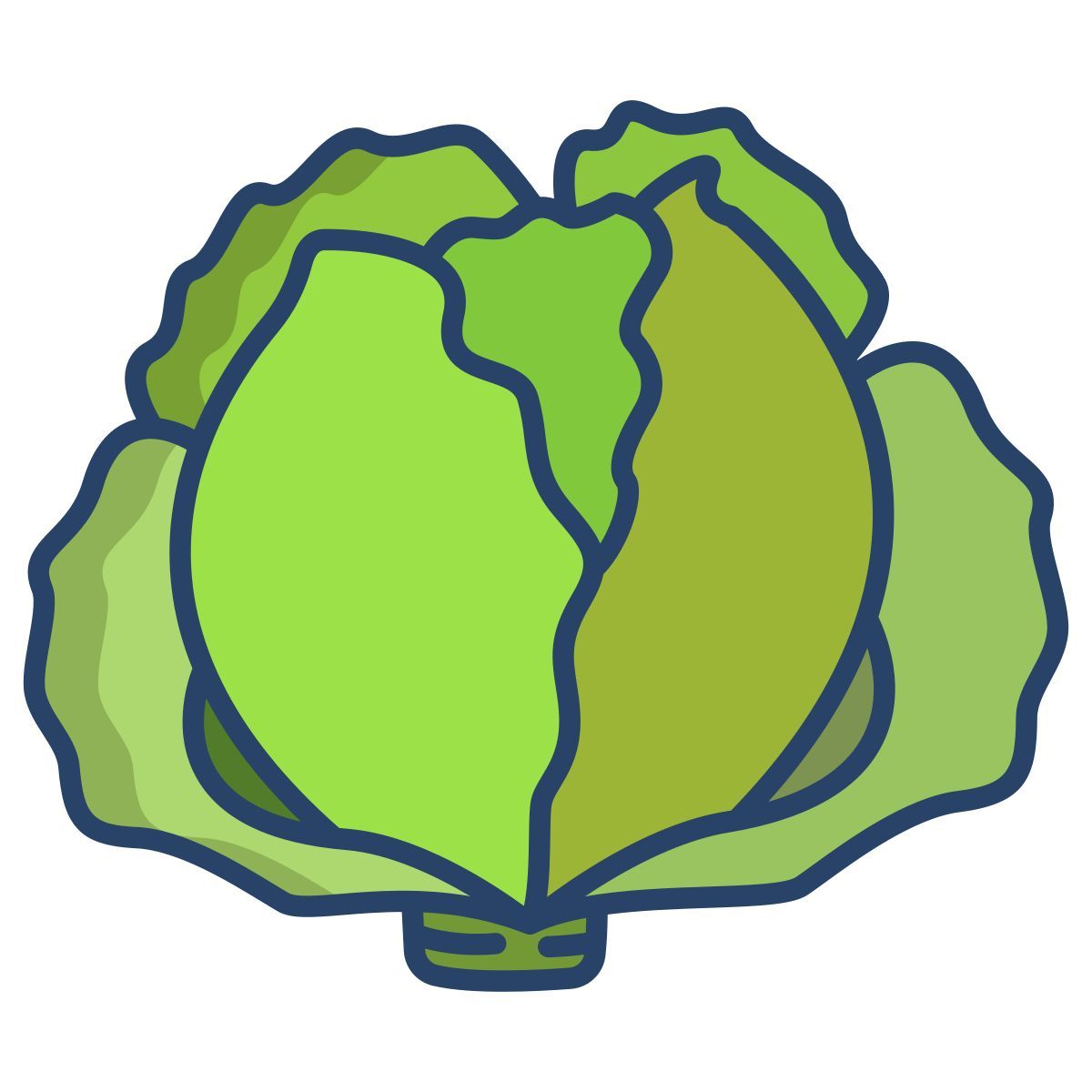 cabbage icon