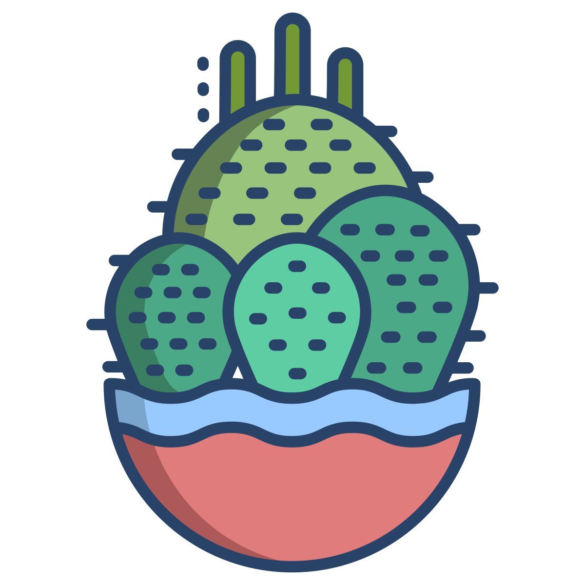 cactus icon