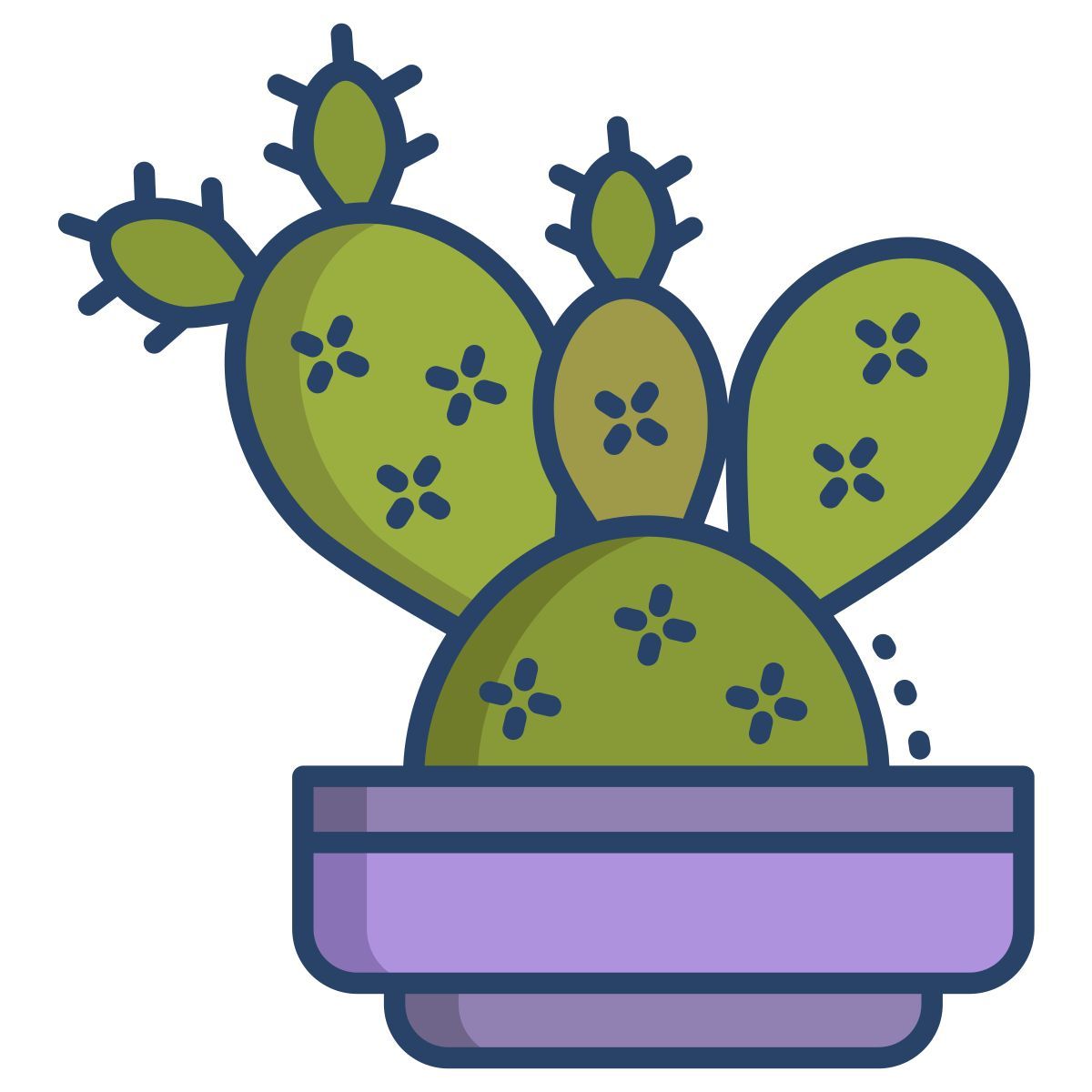 cactus icon