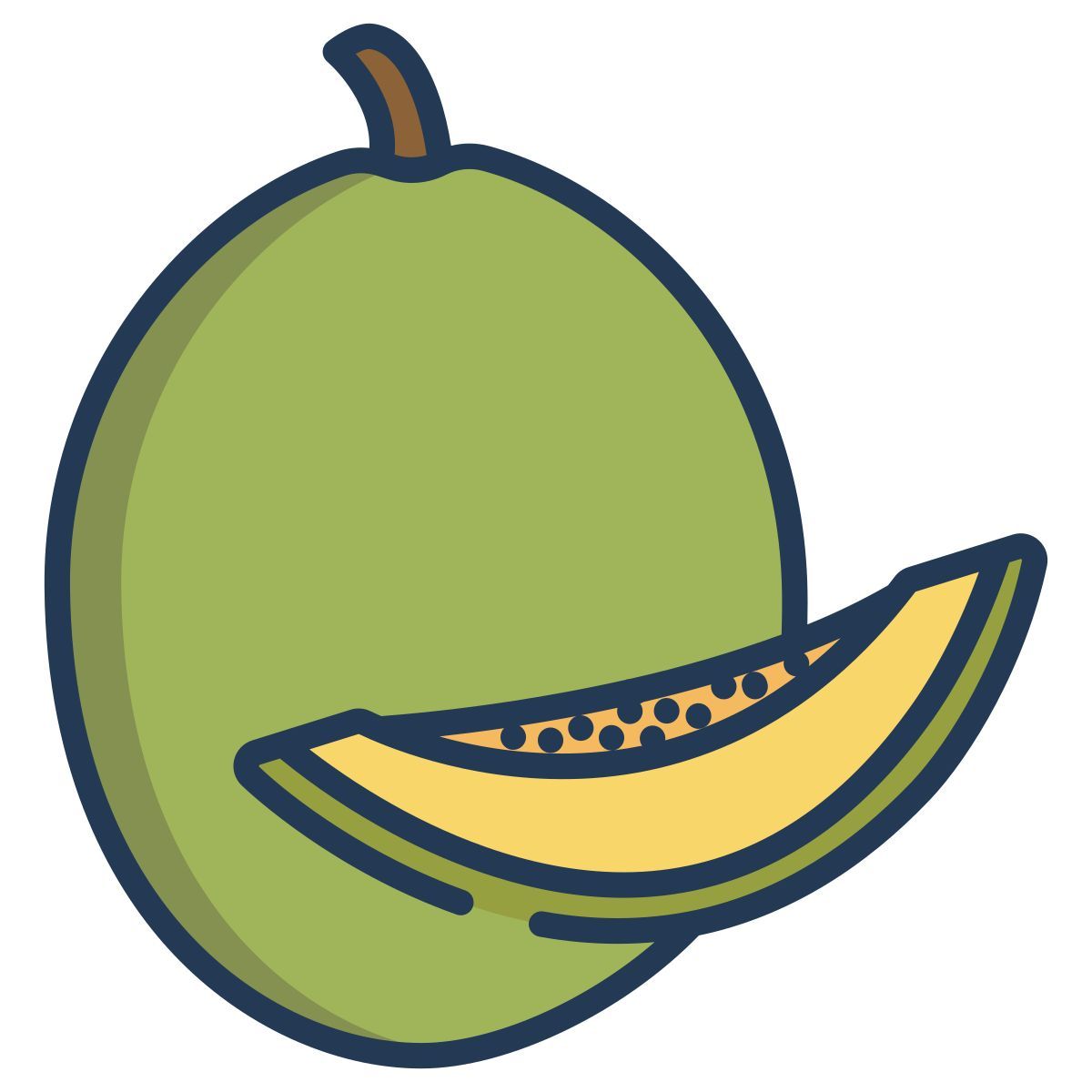 cantaloupe icon