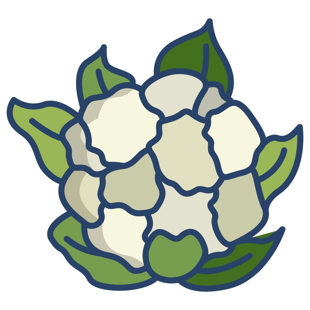 cauliflower icon
