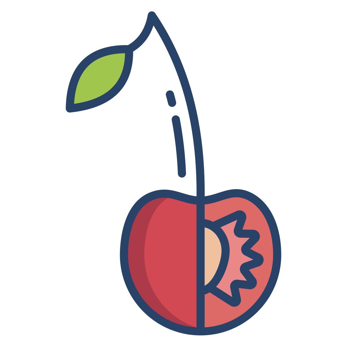 cherry icon