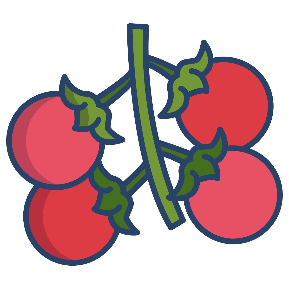 tomate cereja icon