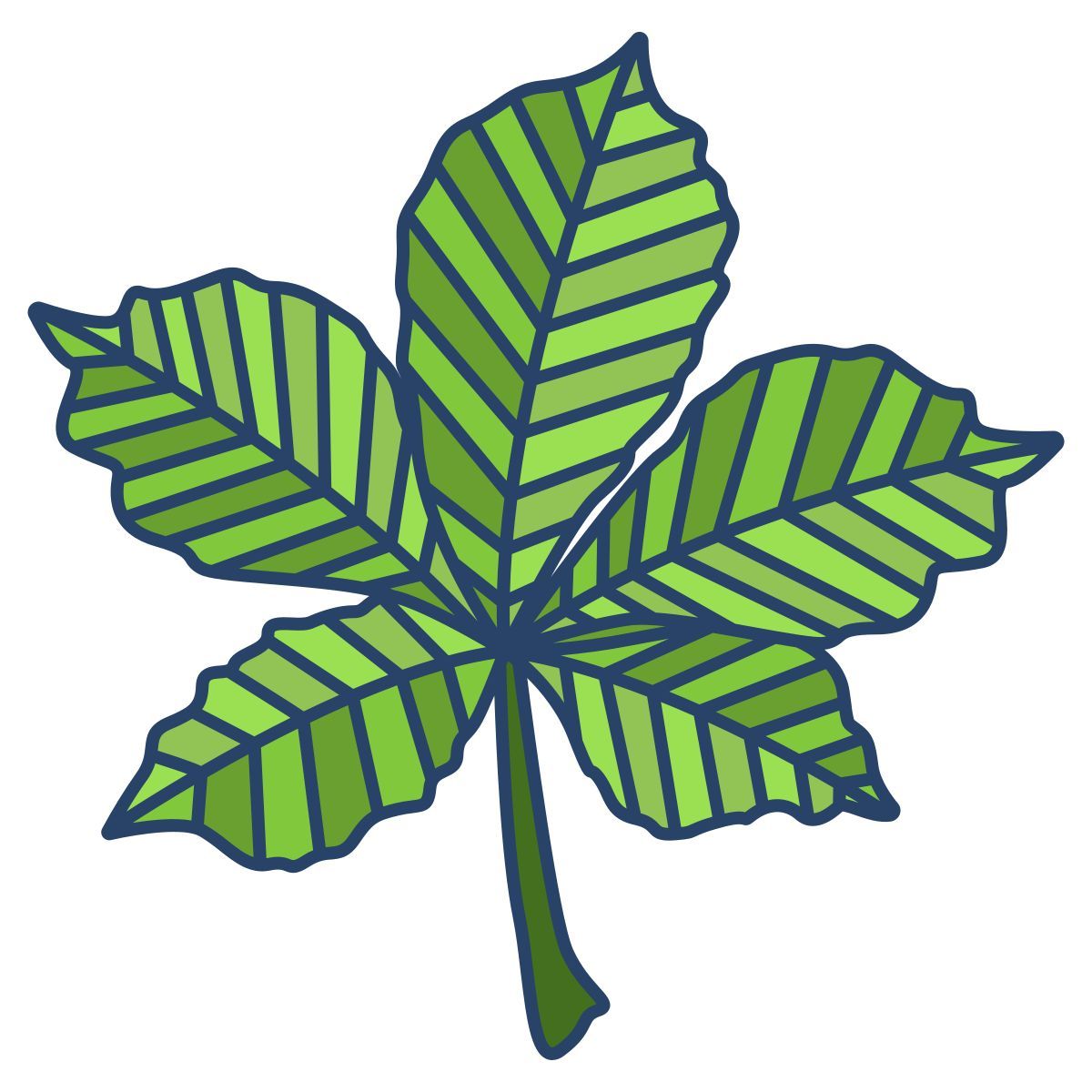 castanha icon