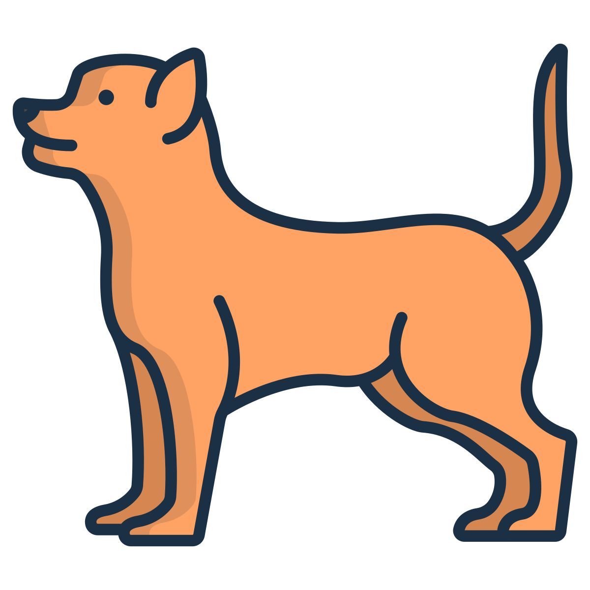chihuahua icon