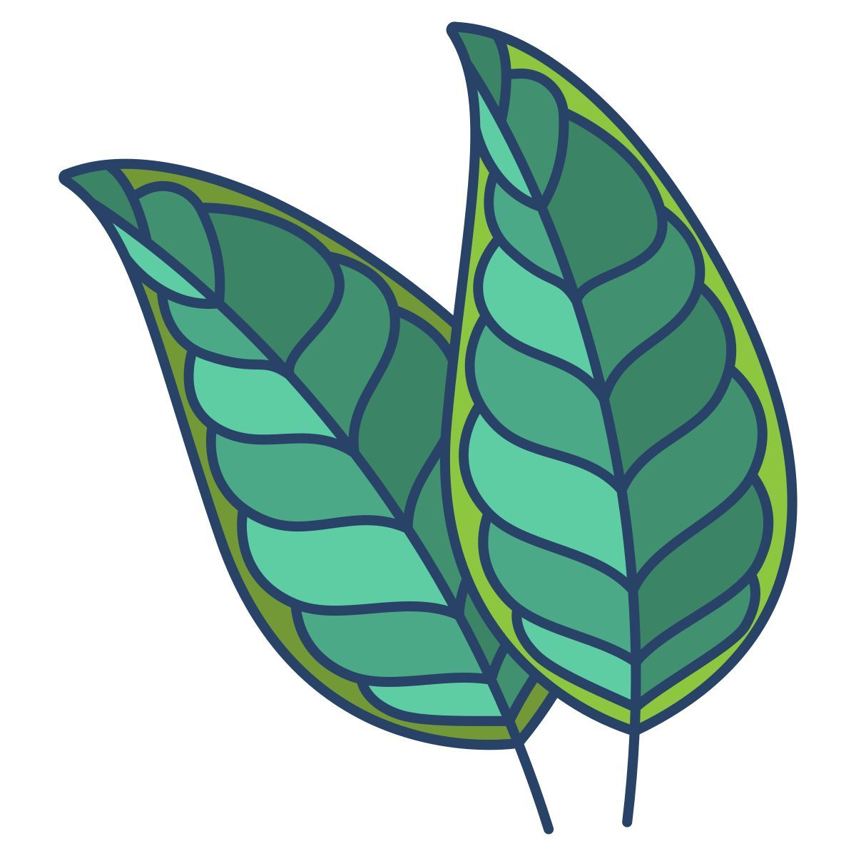citrus icon