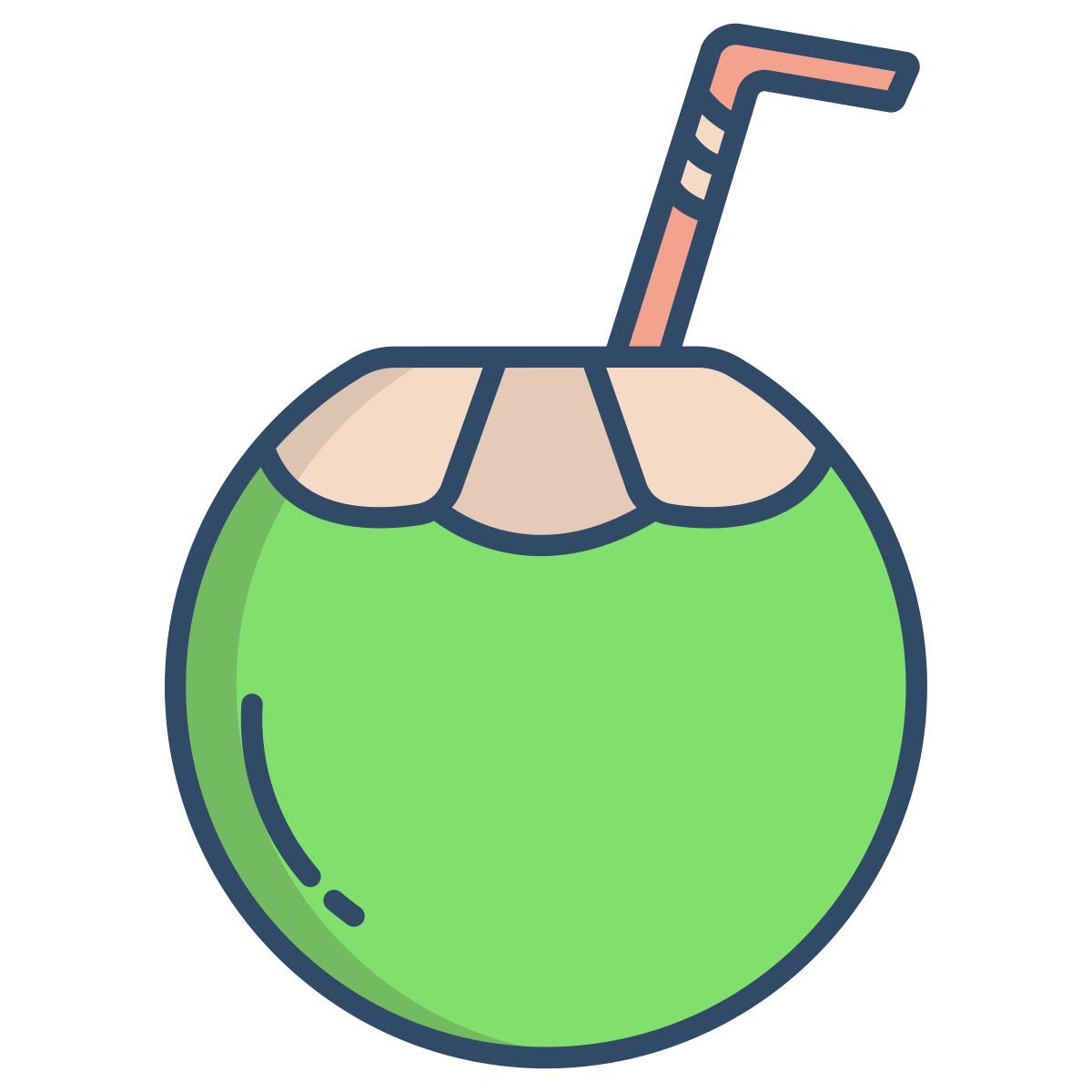 coconut drink icon