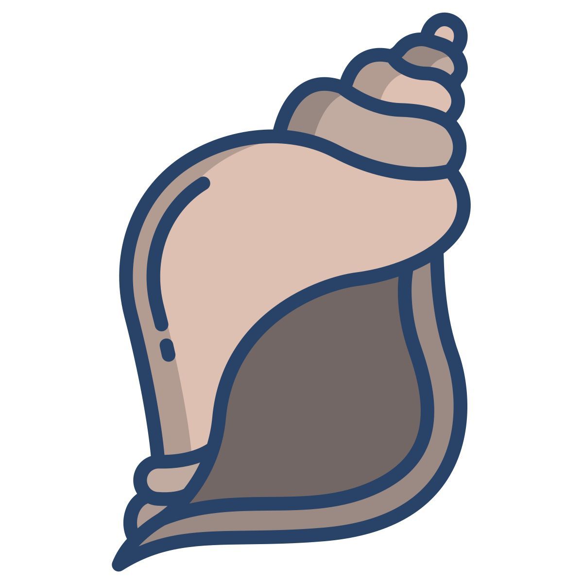 소라 껍질 icon