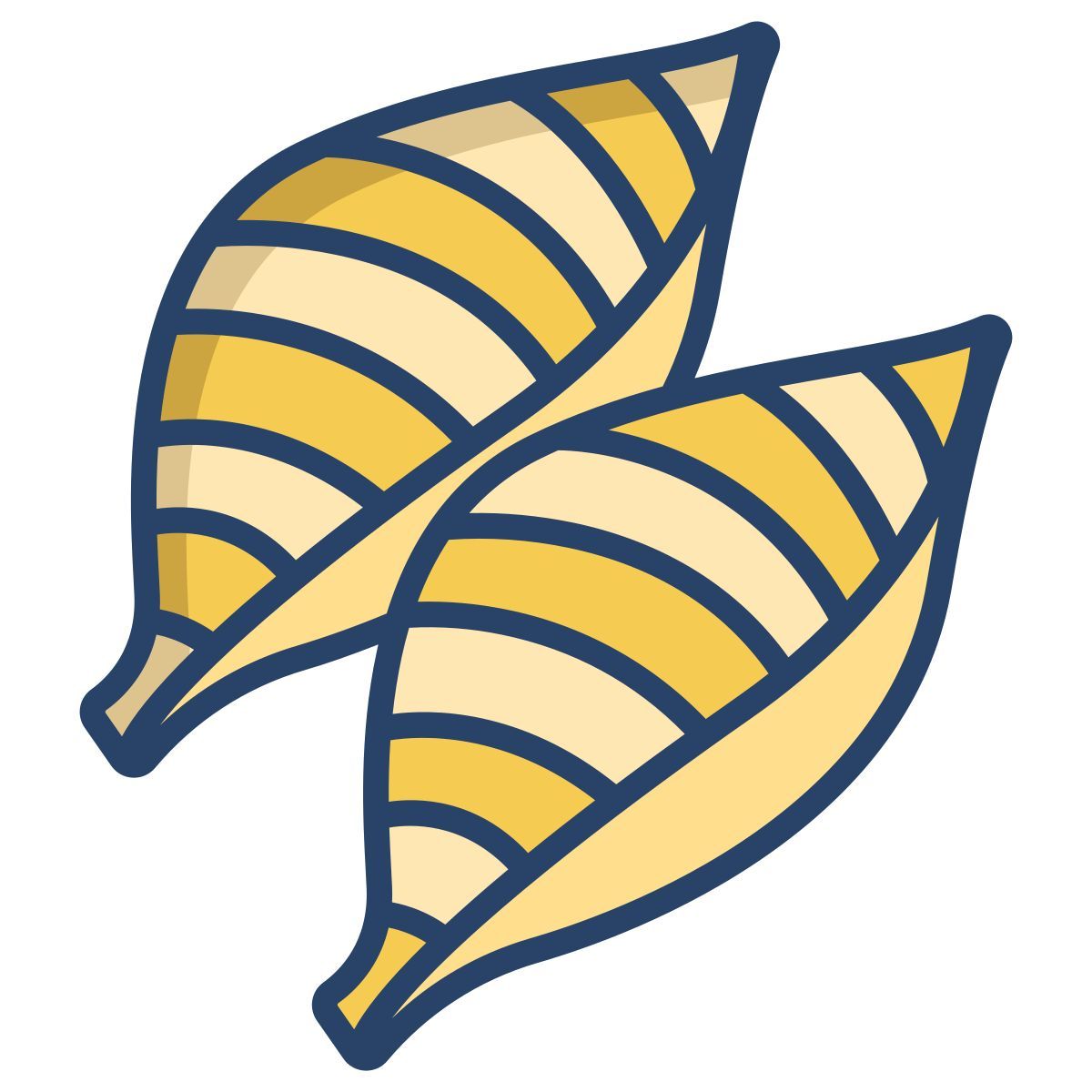 conchiglie icon
