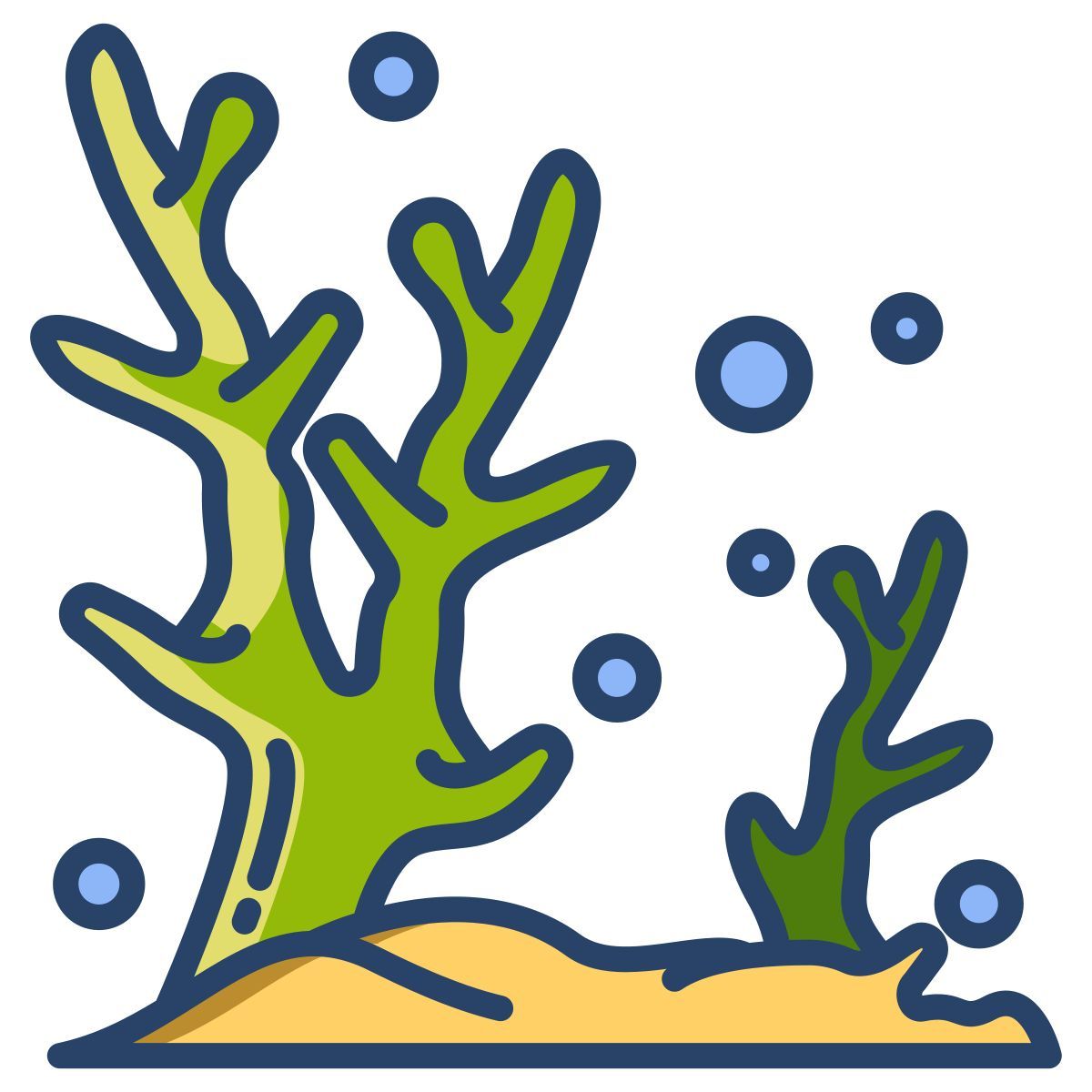 coral icon