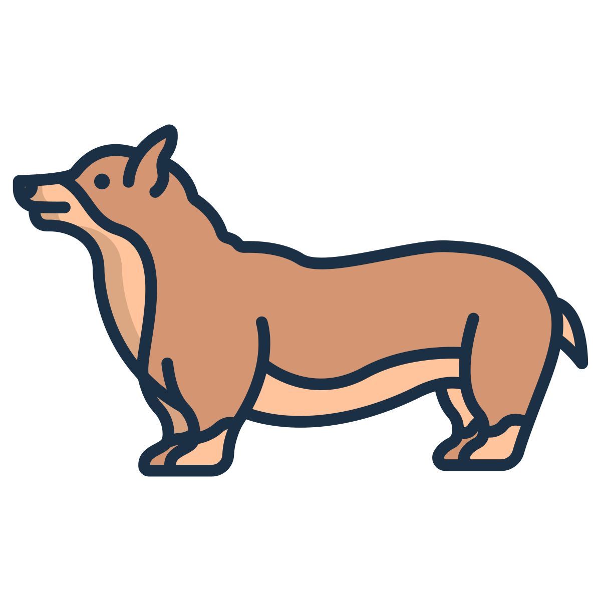 corgi icon