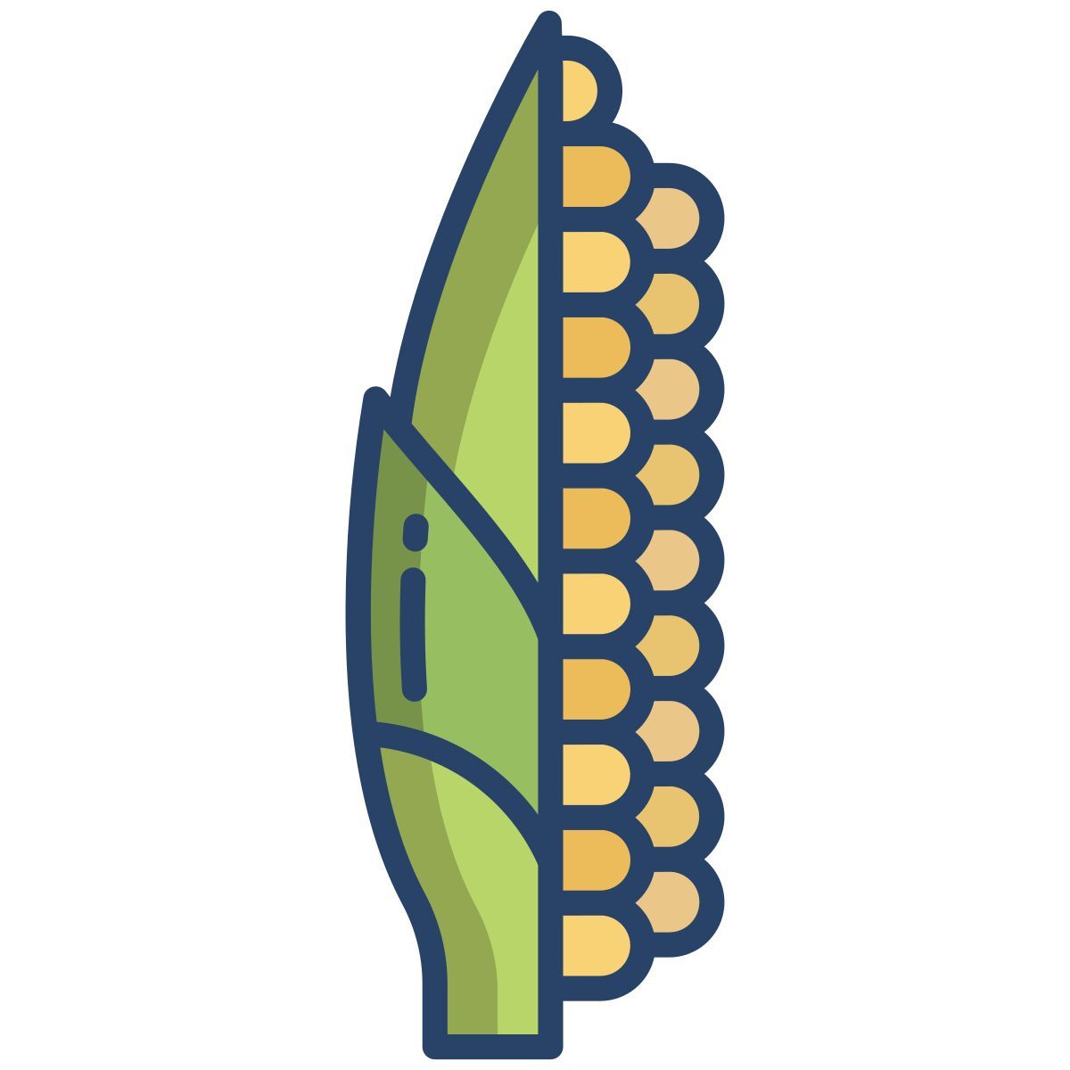 corn icon