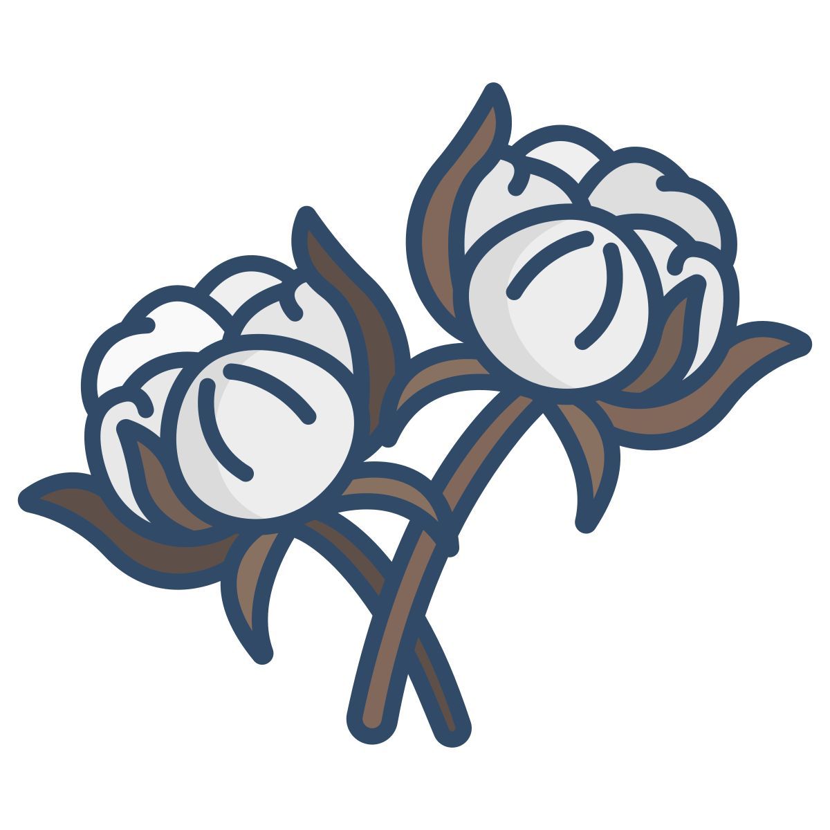 cotton icon