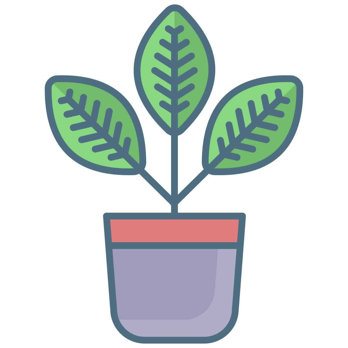 croton icon