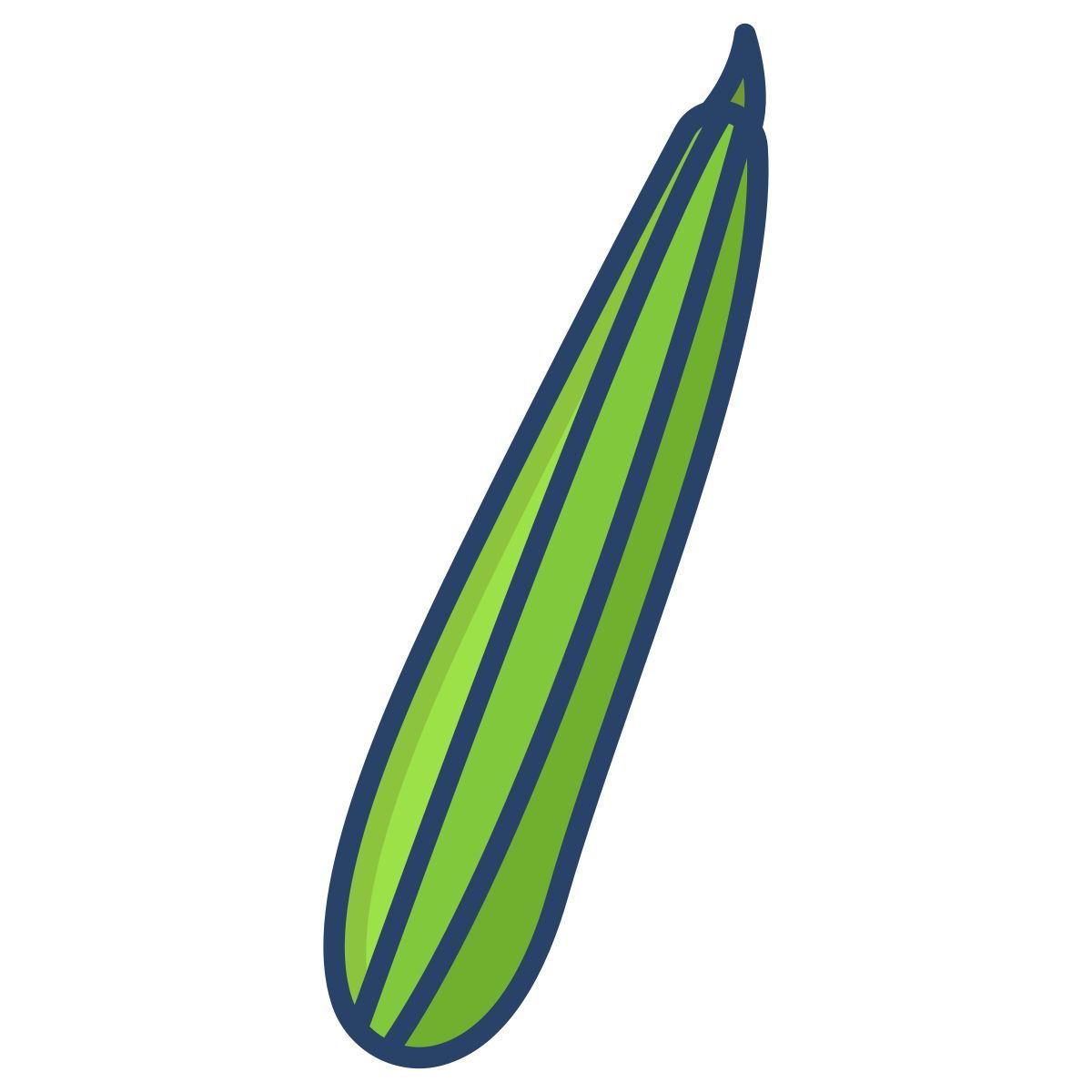 cucumber icon