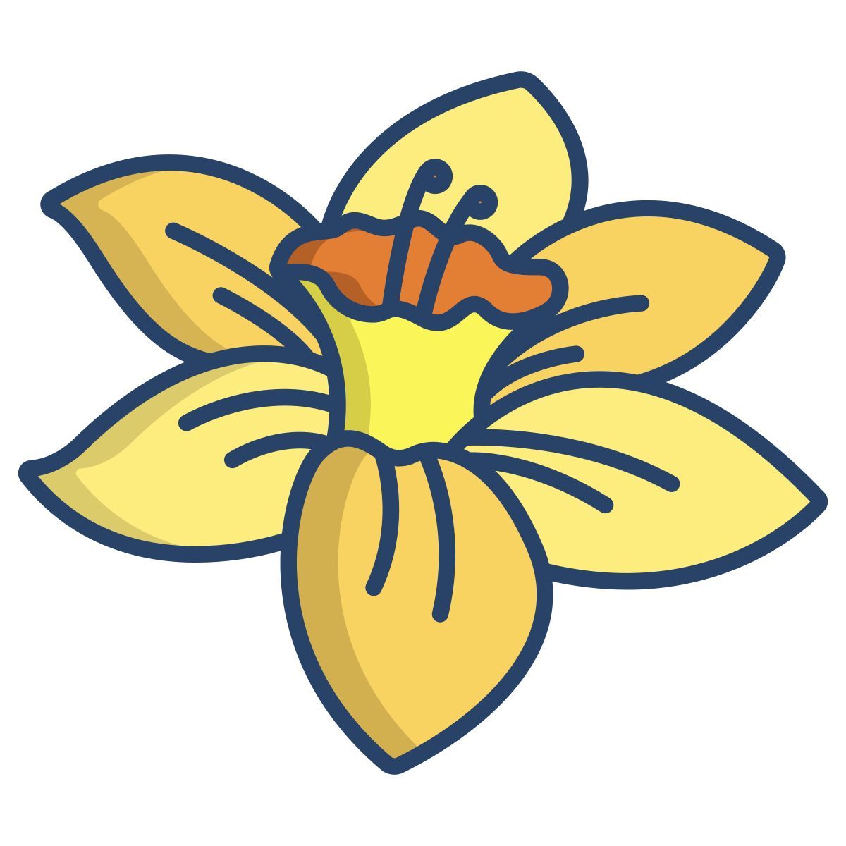 jonquille icon