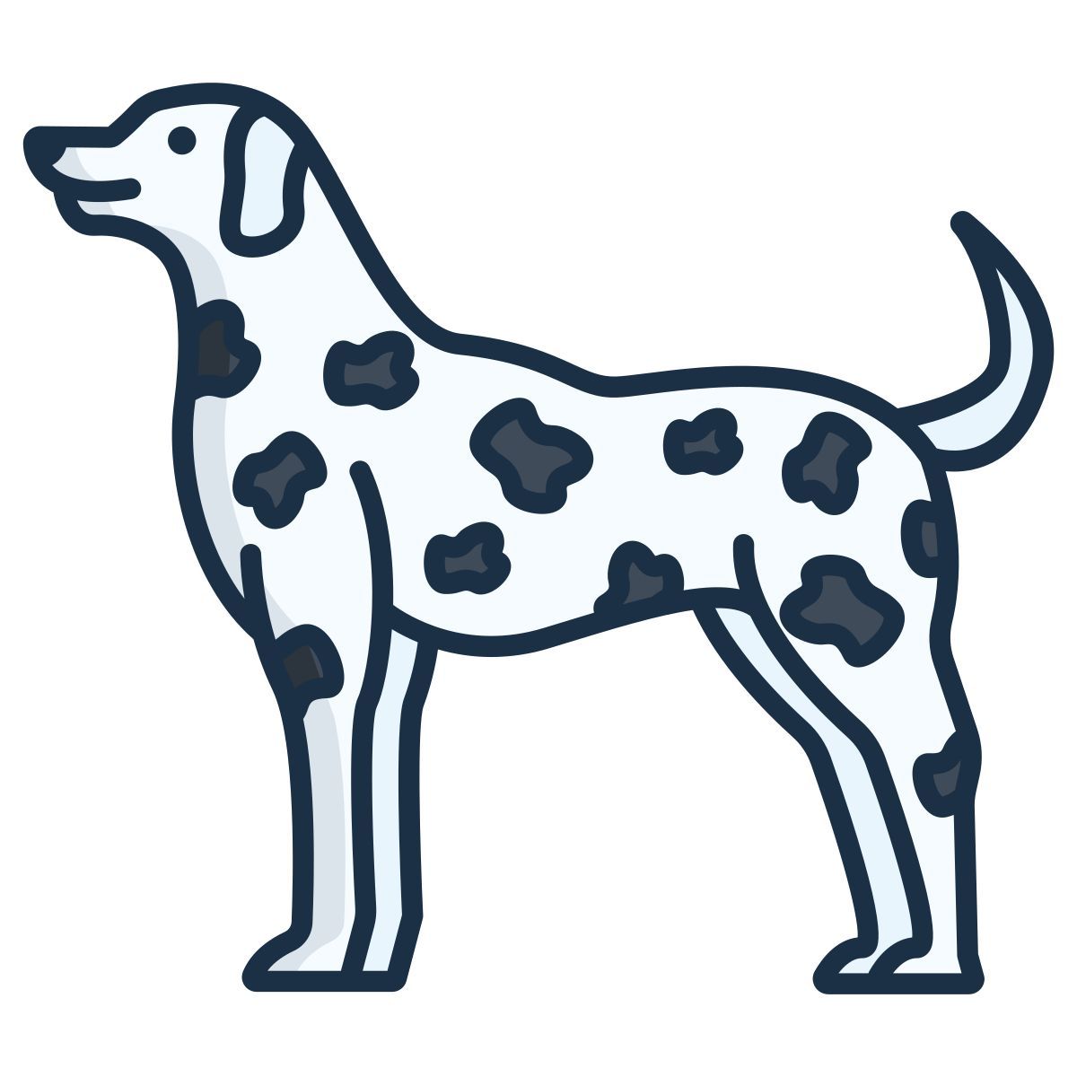 dalmation icon