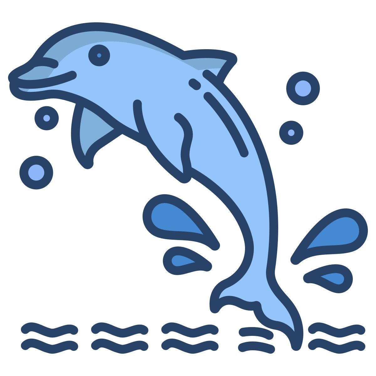 dolphin icon