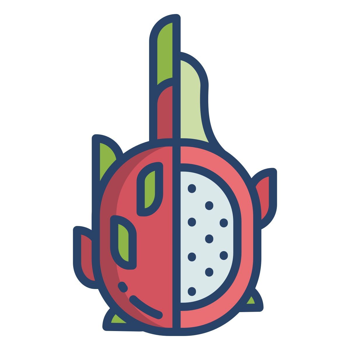 dragon fruit icon