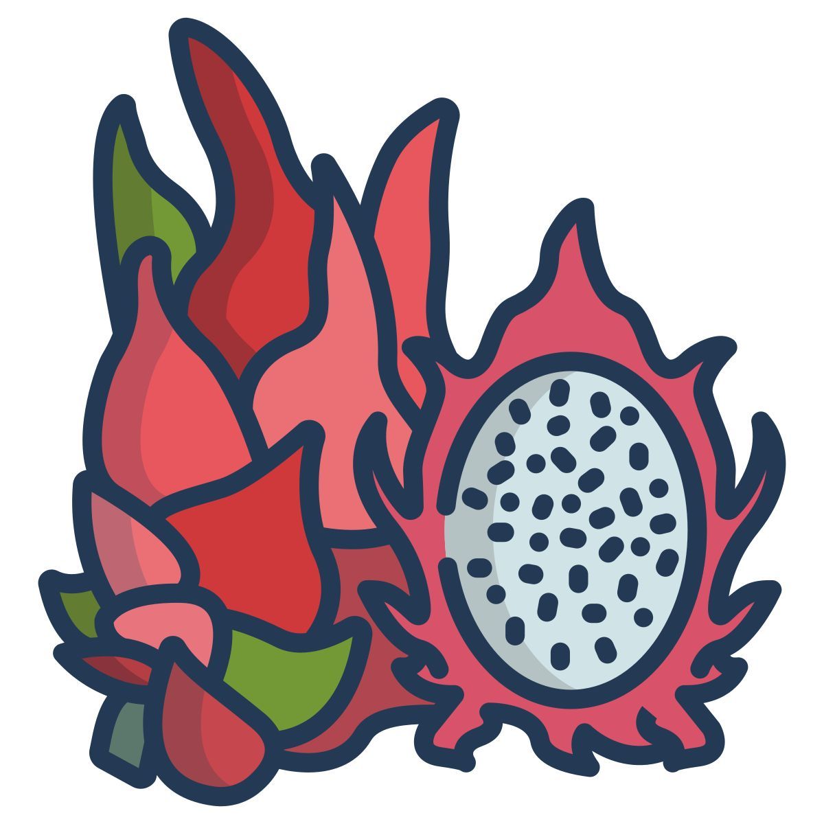 dragon fruit icon