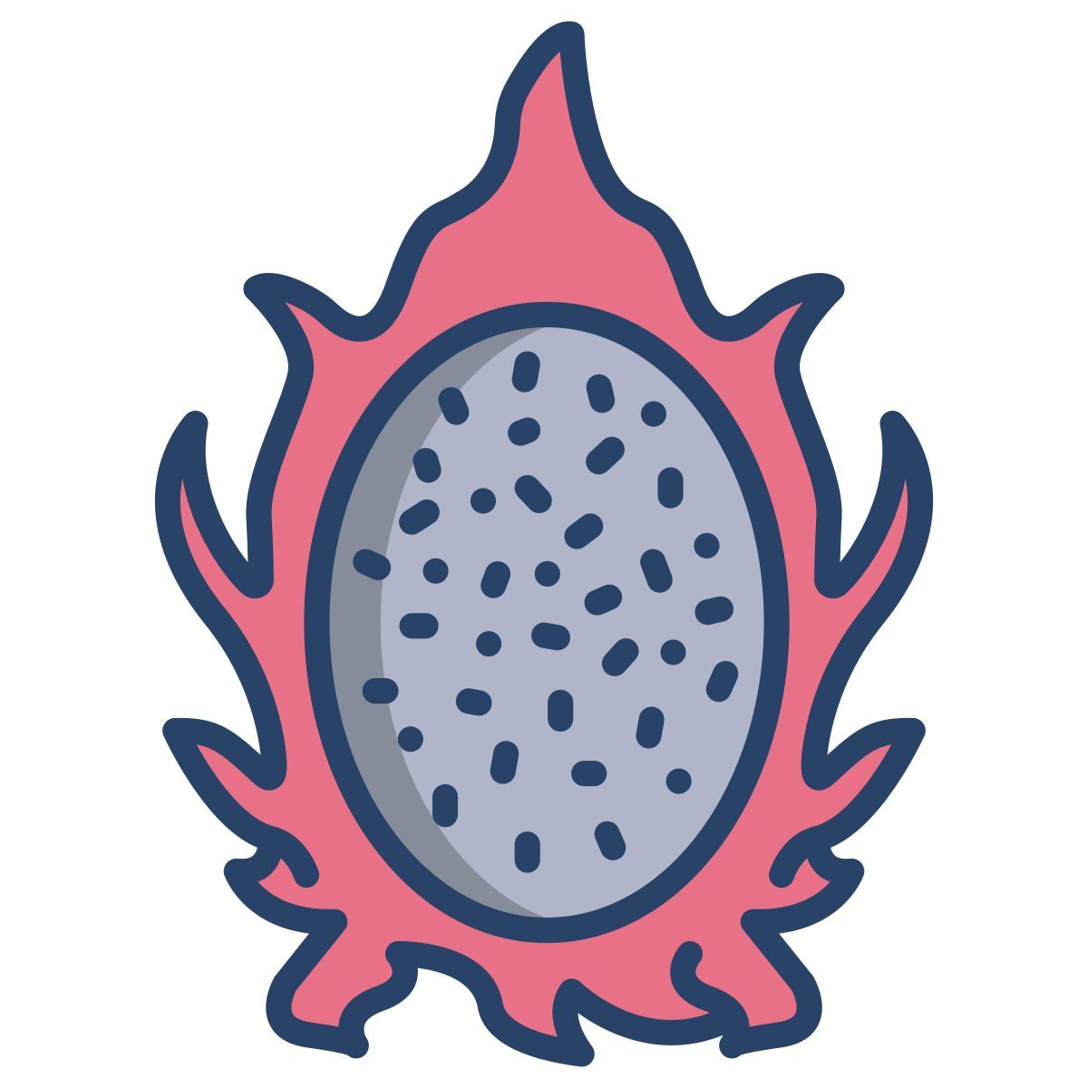 dragon fruit icon