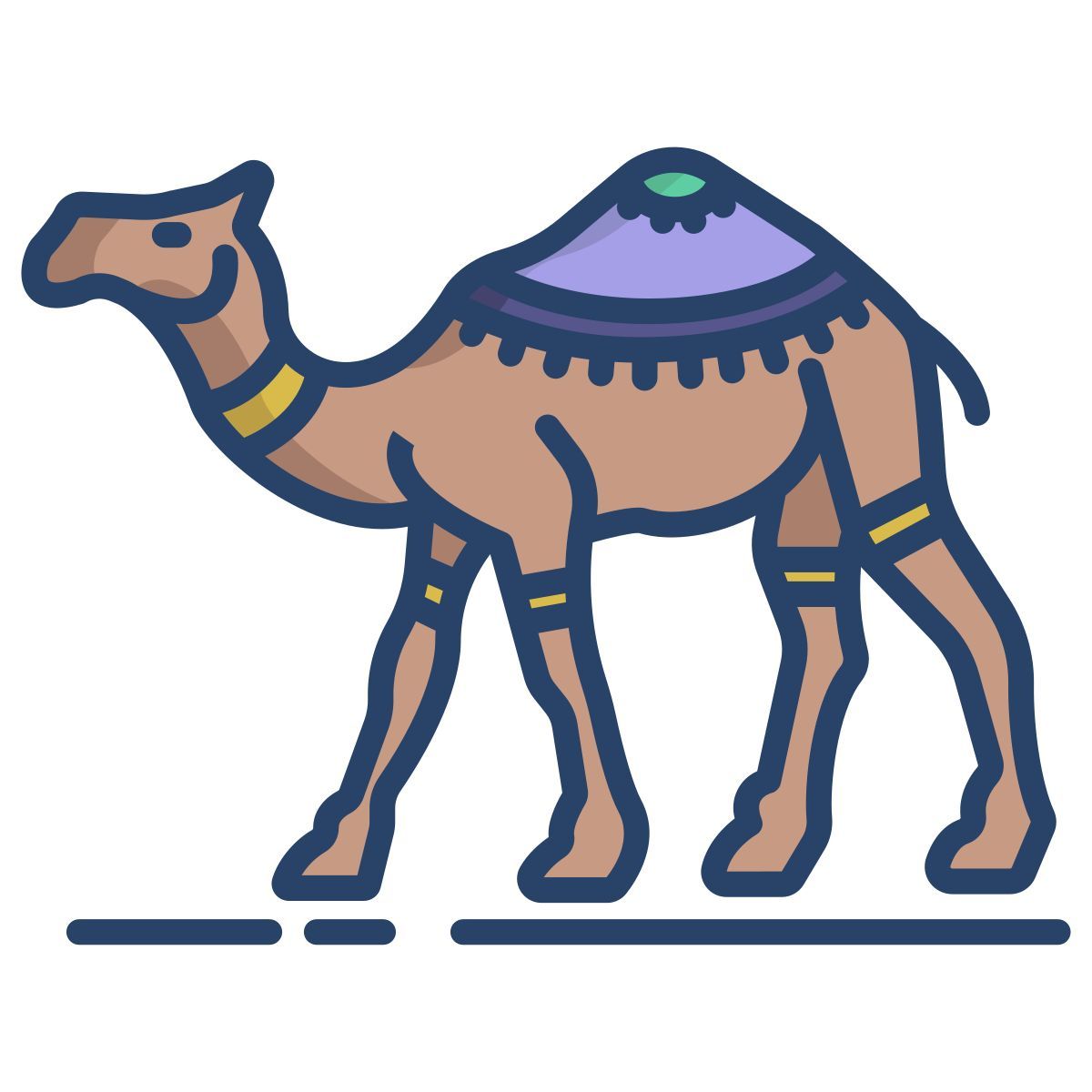 dromedary icon