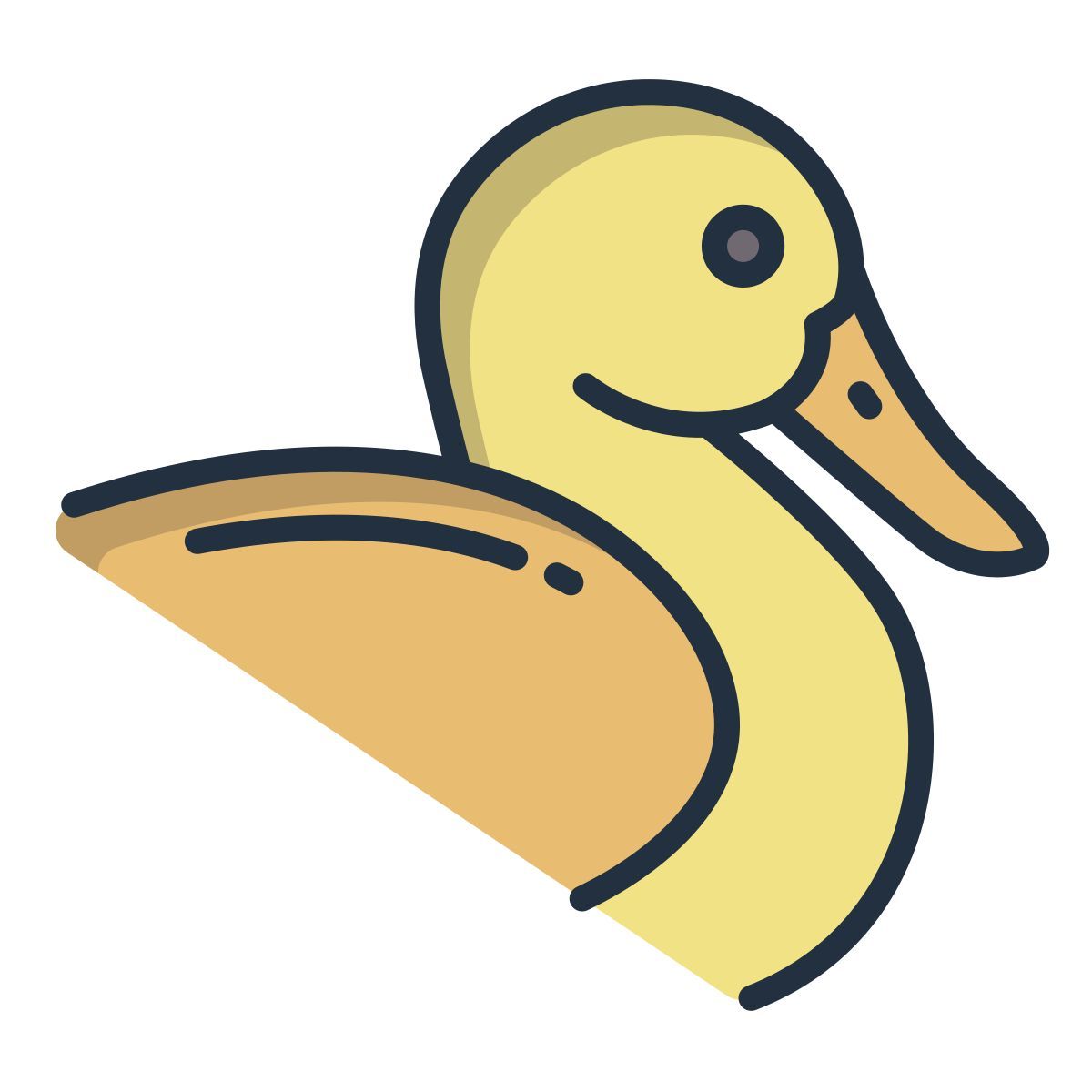 duck icon