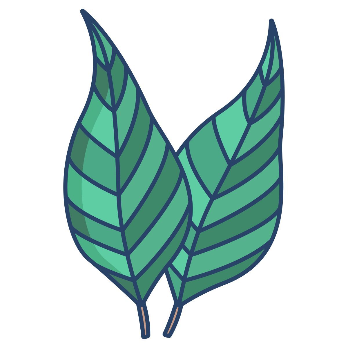 eucalyptus icon