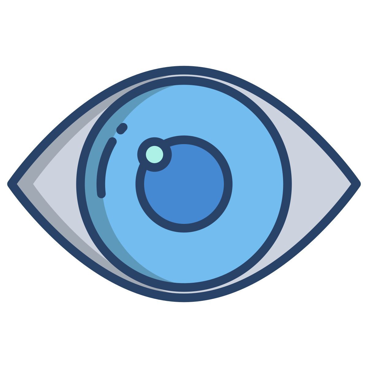 eye icon
