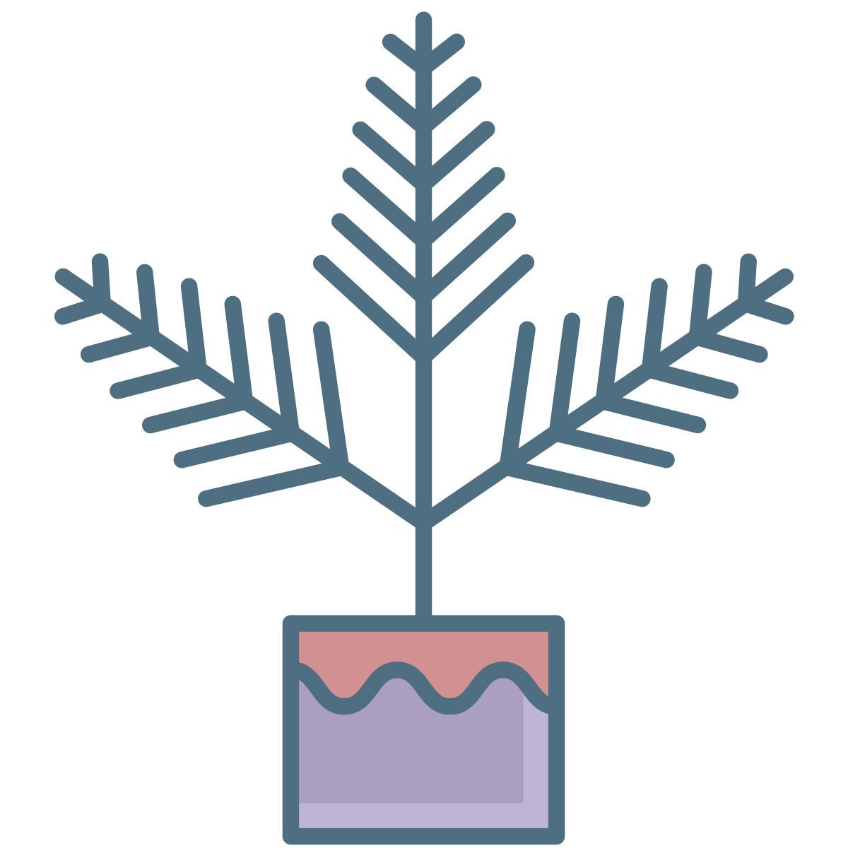 fern icon