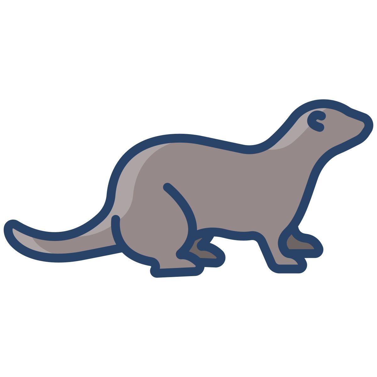 ferret icon