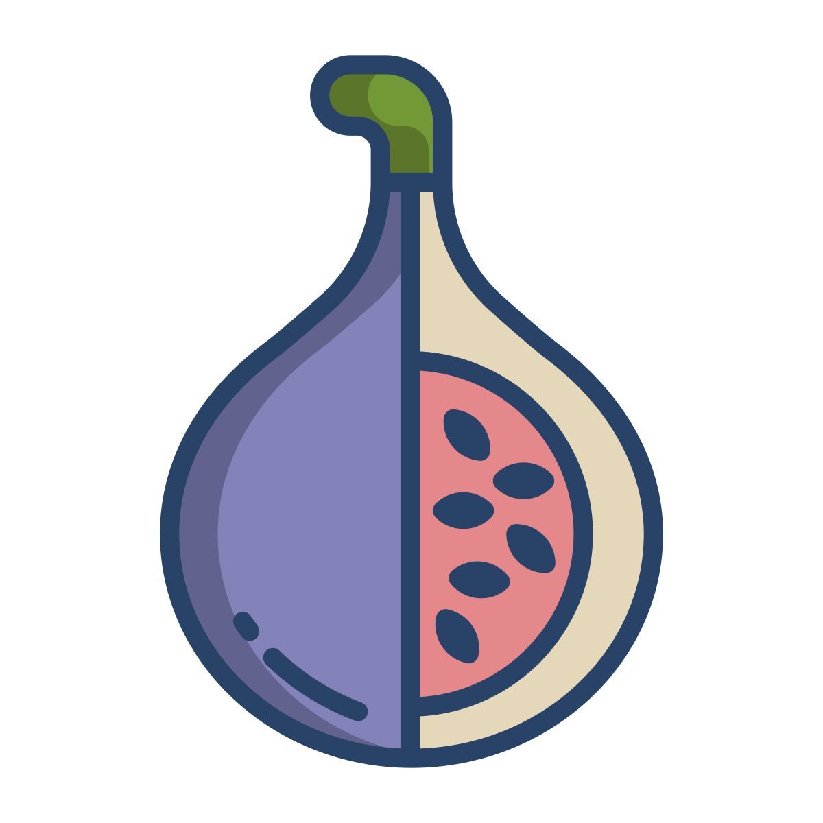 fig icon