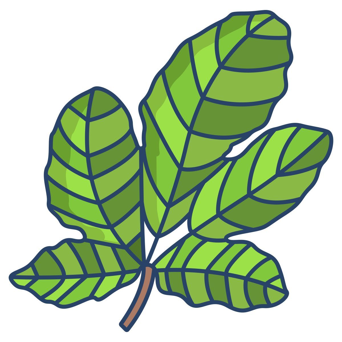 figue icon