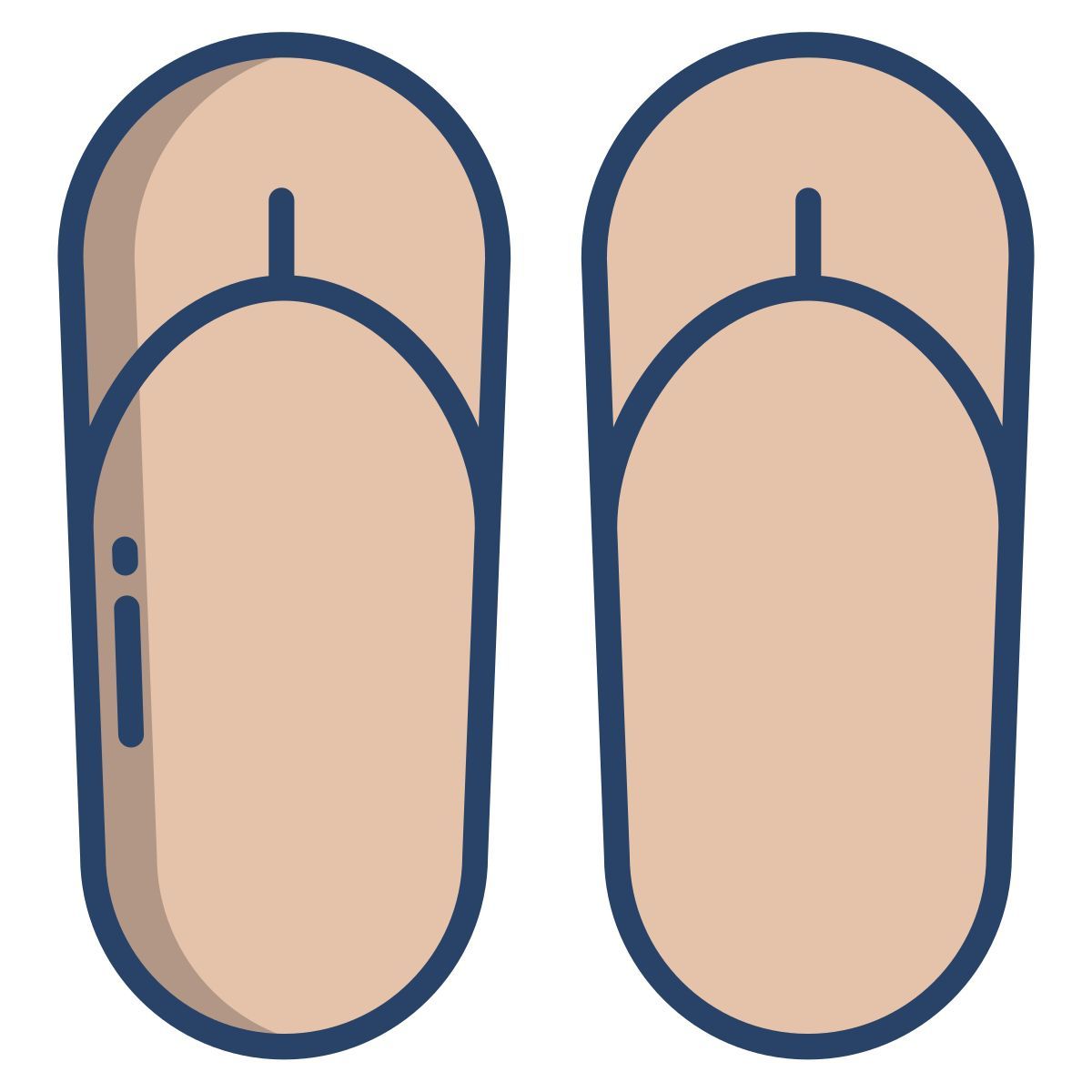 flip flops icon