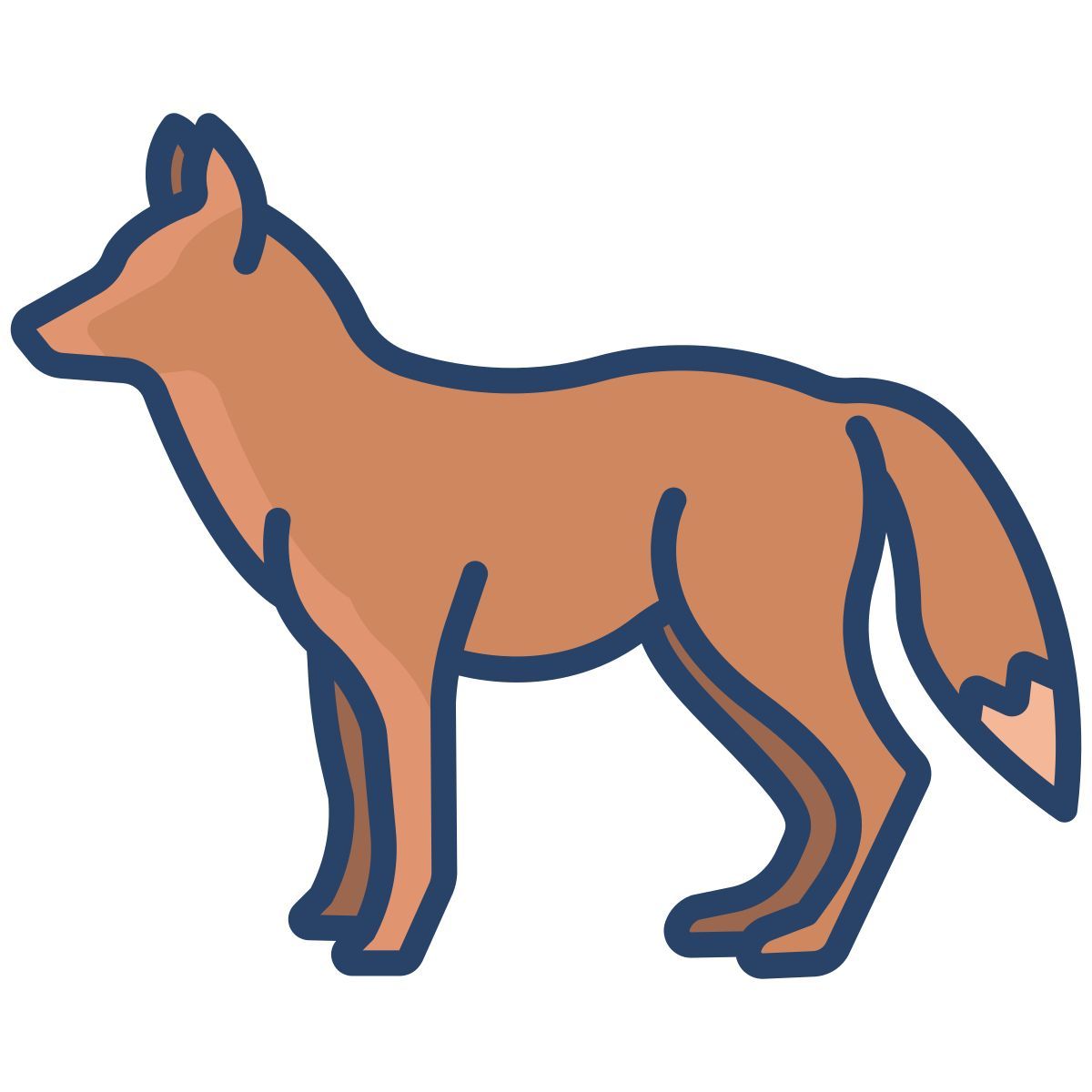 fuchs icon