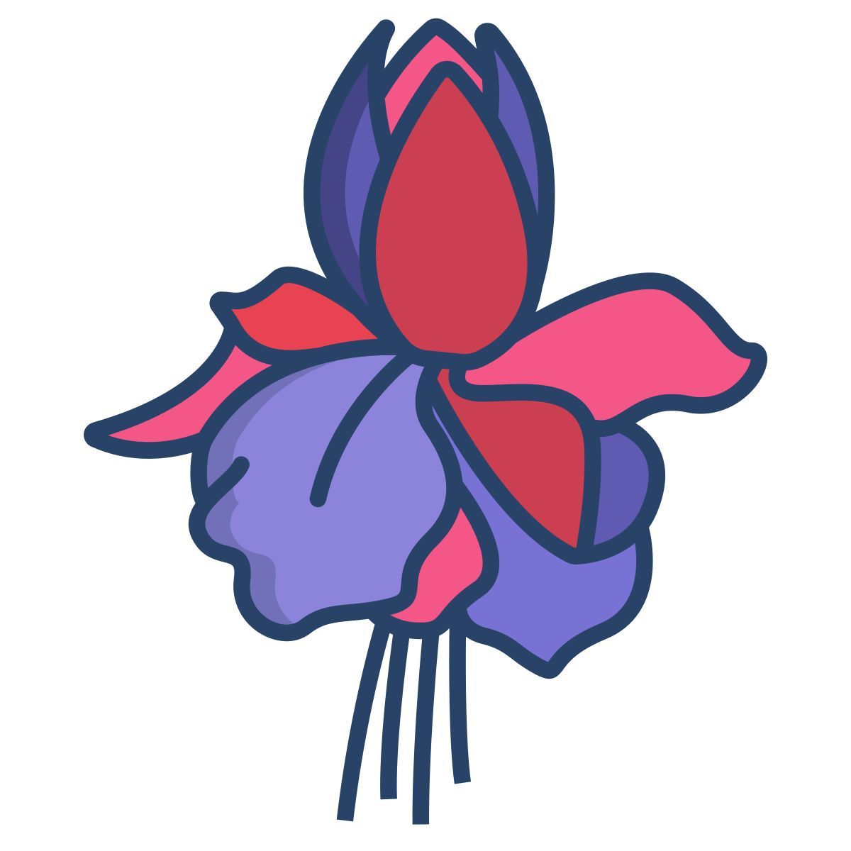 fuchsia icon