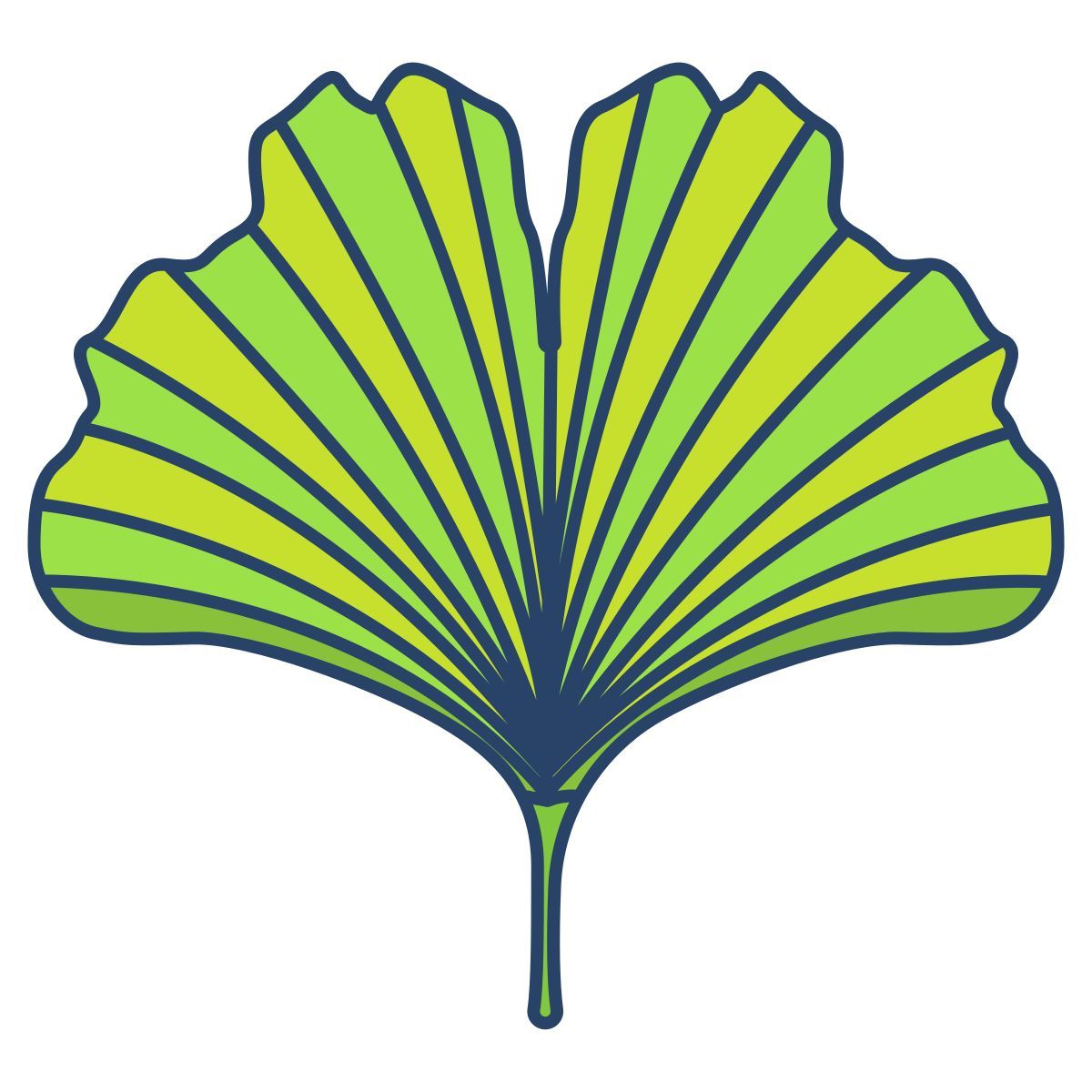 ginkgo icon
