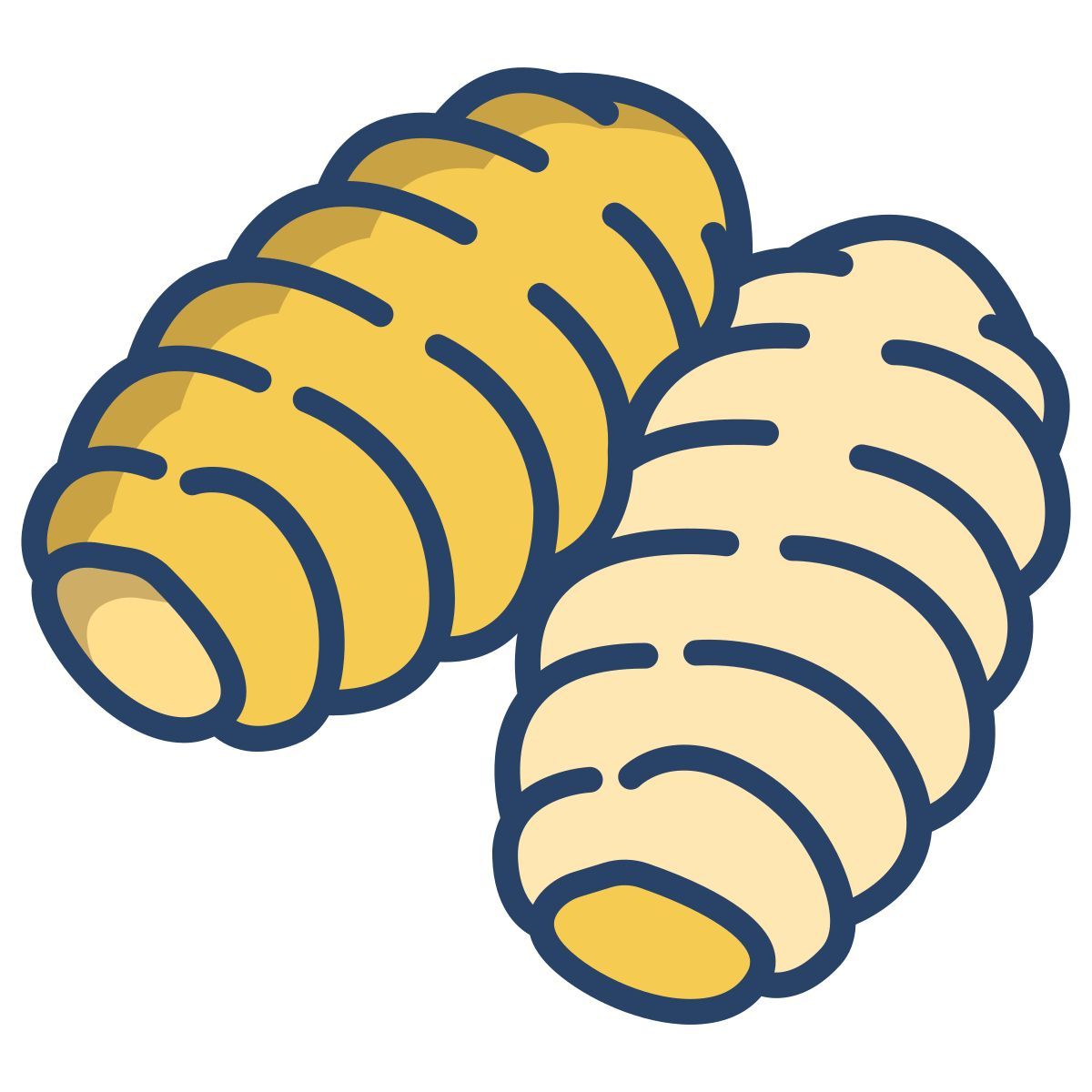 gnocchi icon