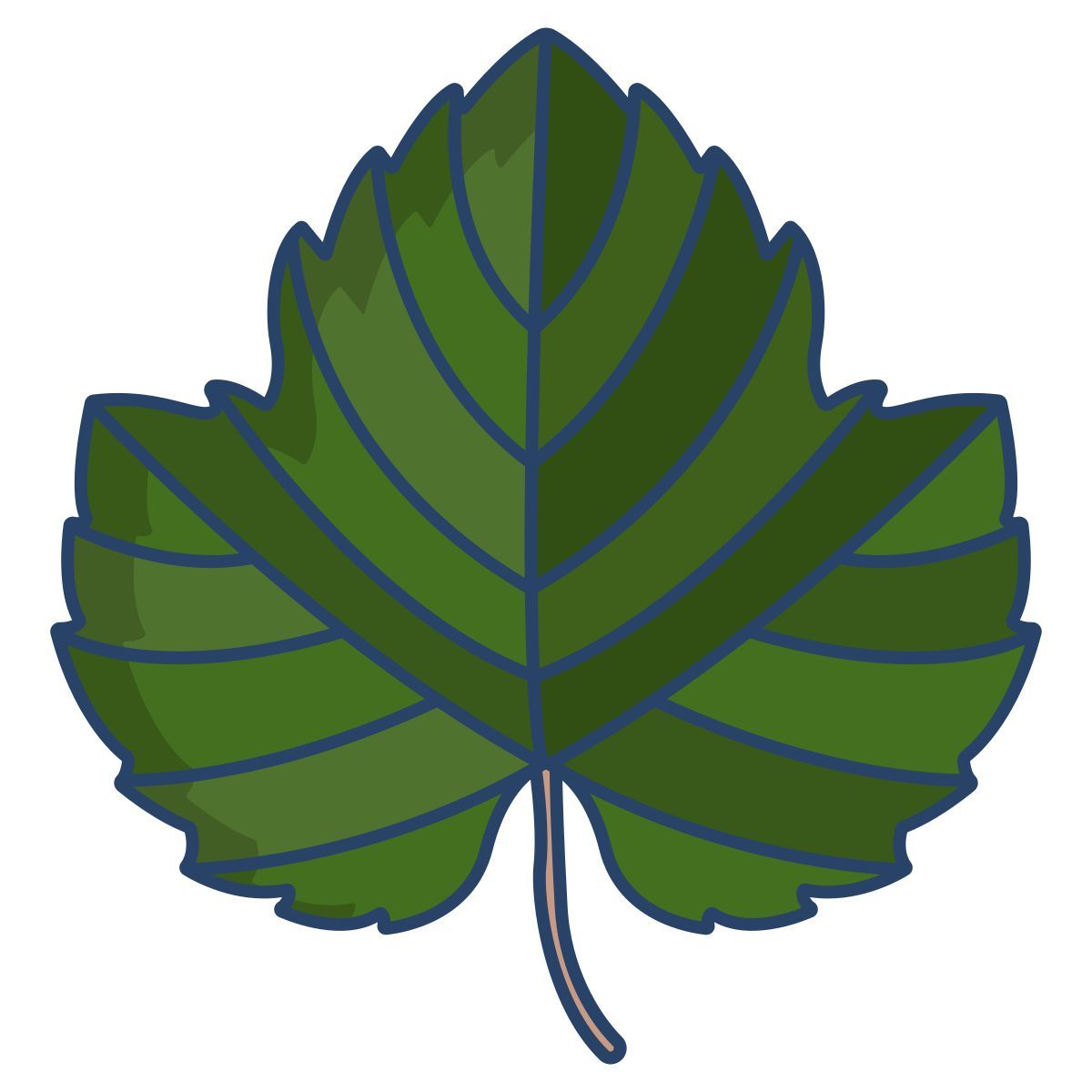 uva icon