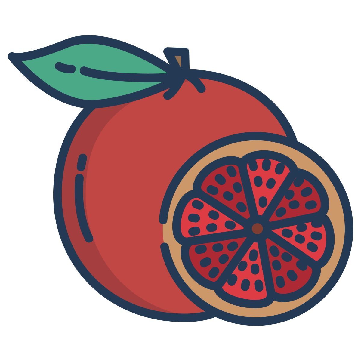 grapefruit icon