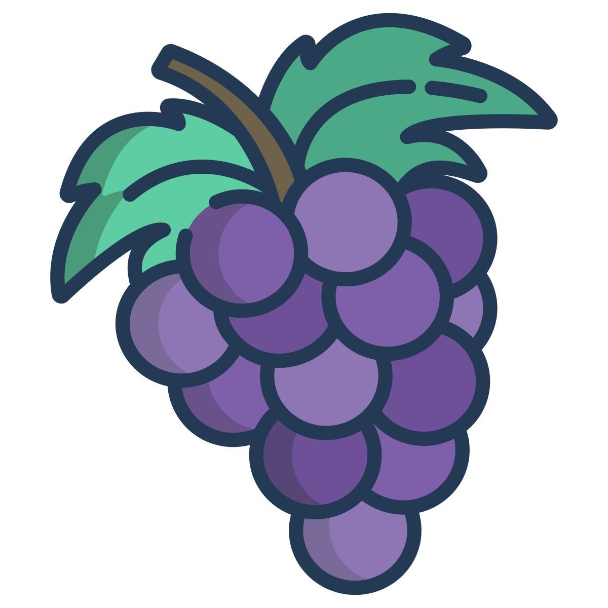grapes icon
