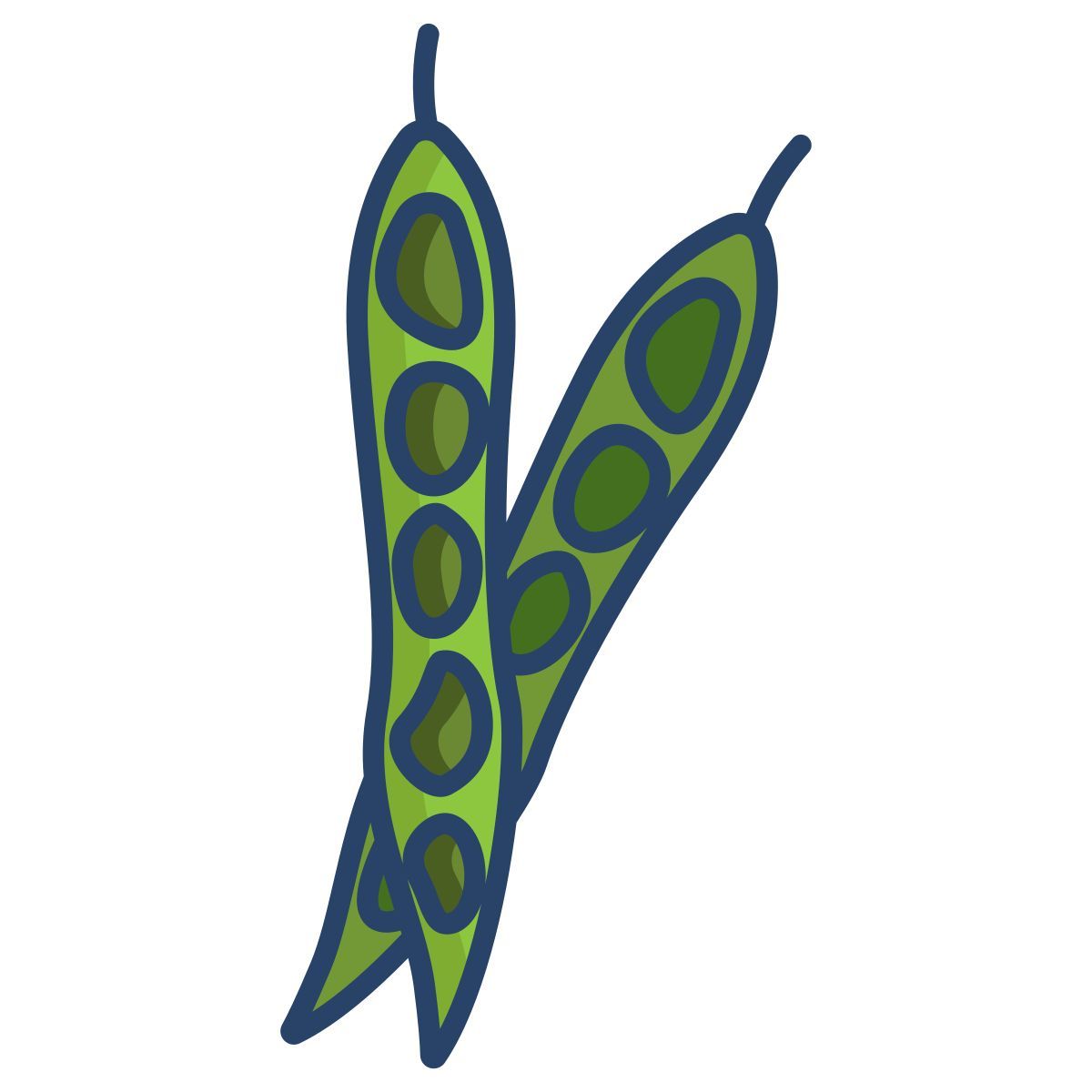 green beans icon