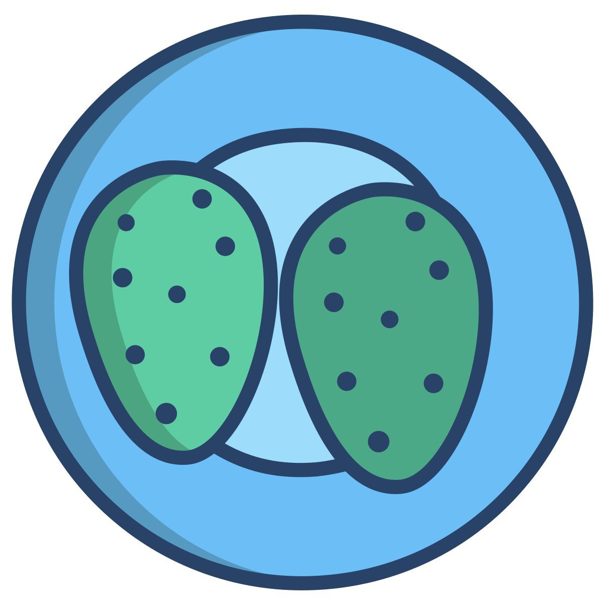 grilled cactus icon