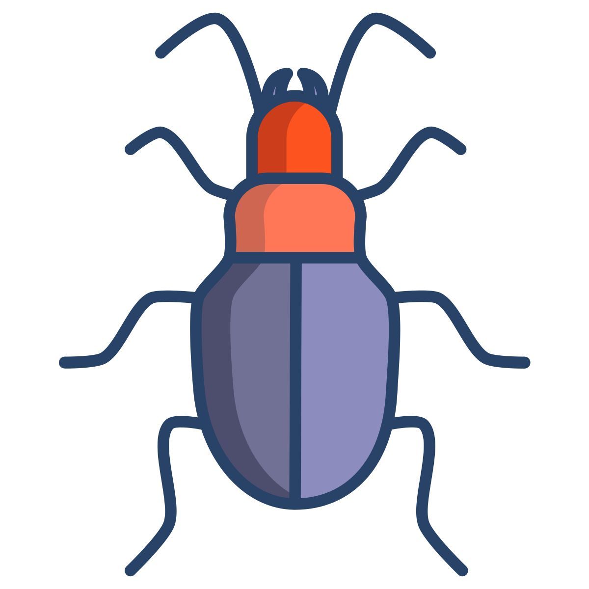 ground beetle icon