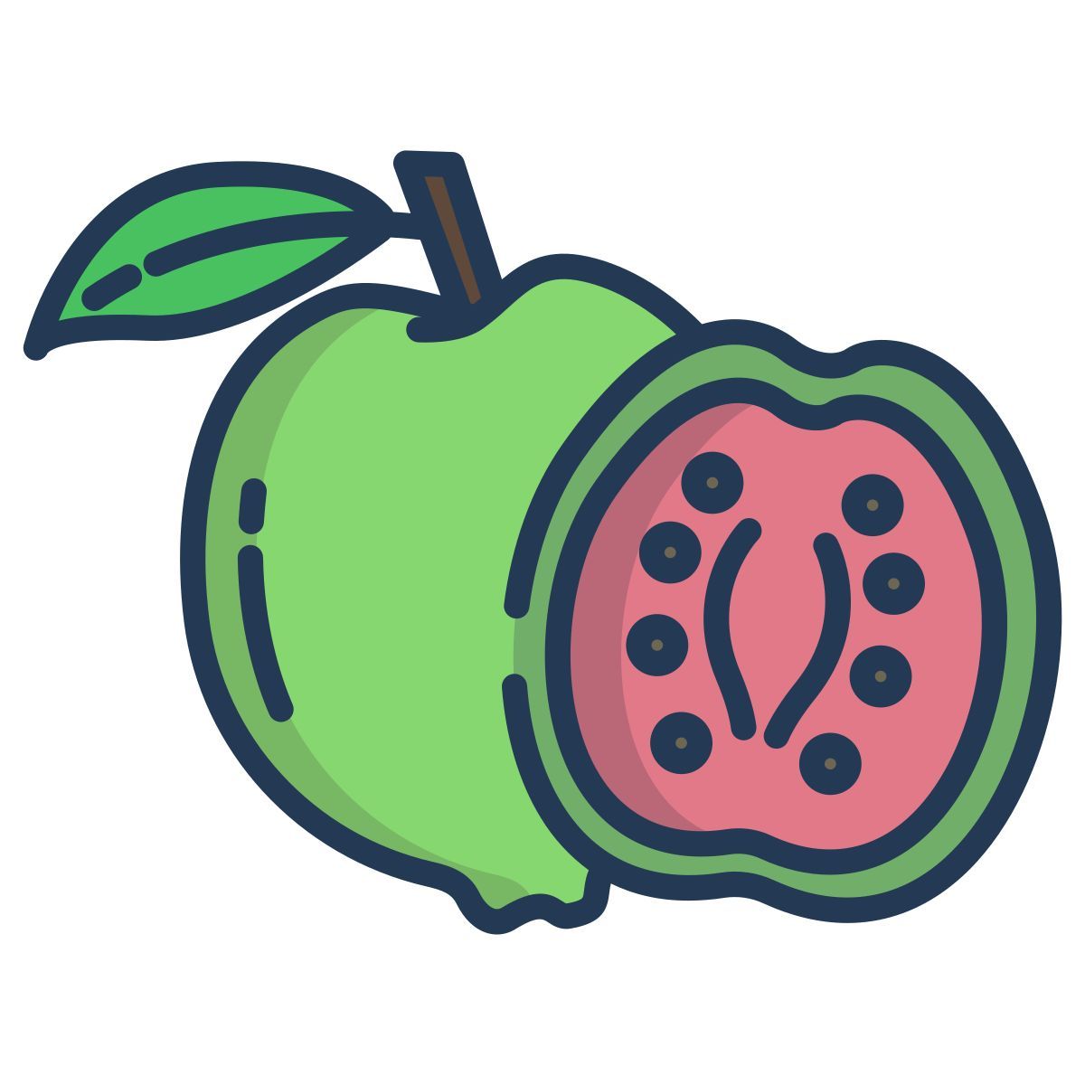 guava icon